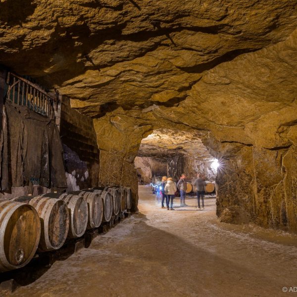 Degustation-vin-Vinoloire-Credit_ADT_Touraine_JC-Coutand-2031-34