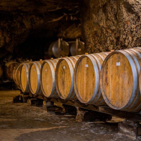 Degustation-vin-Vinoloire-Credit_ADT_Touraine_JC-Coutand-2031-45