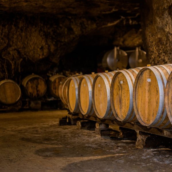 Degustation-vin-Vinoloire-Credit_ADT_Touraine_JC-Coutand-2031-45