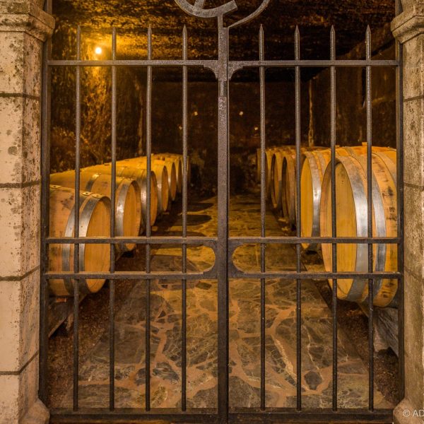 Degustation-vin-Vinoloire-Credit_ADT_Touraine_JC-Coutand-2031-93
